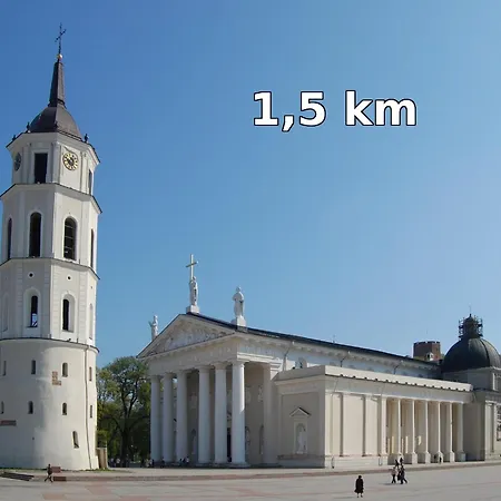 Rinktines Lejlighed Vilnius