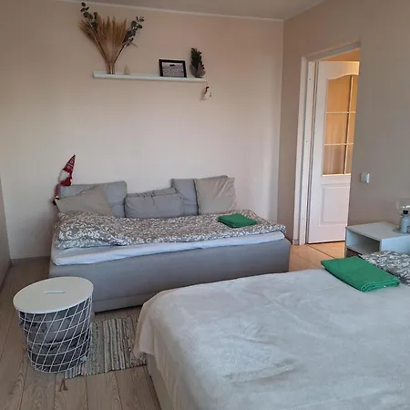 Rinktines Вильнюс