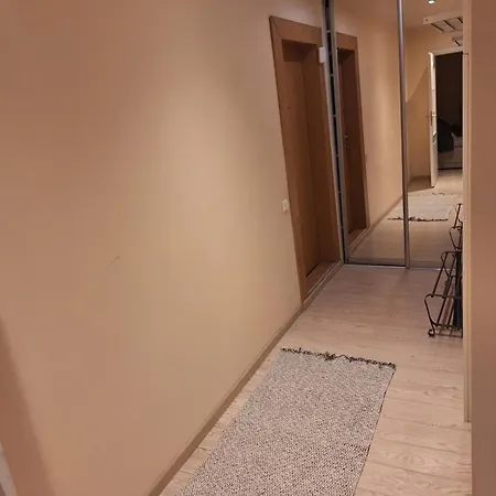 Rinktines Апартаменты Вильнюс