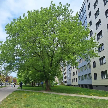 Rinktines * Vilnius