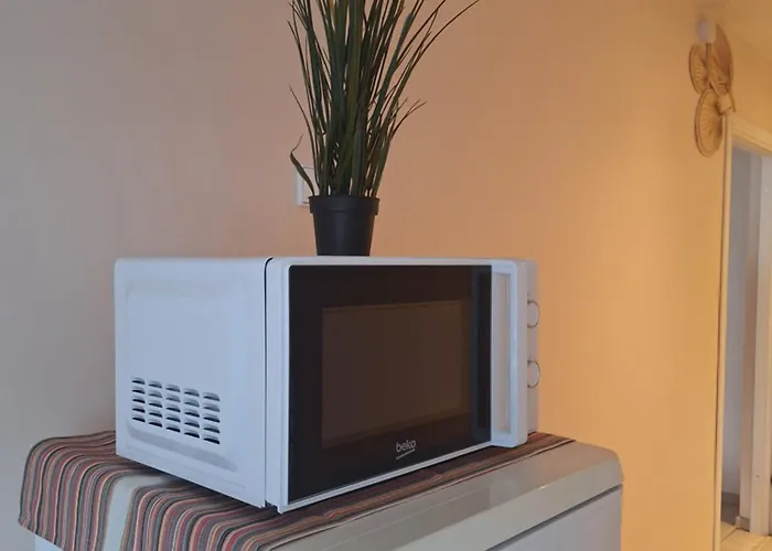 Rinktines * 维尔纽斯