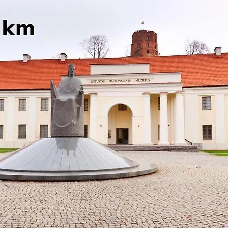 Rinktines Lägenhet Vilnius