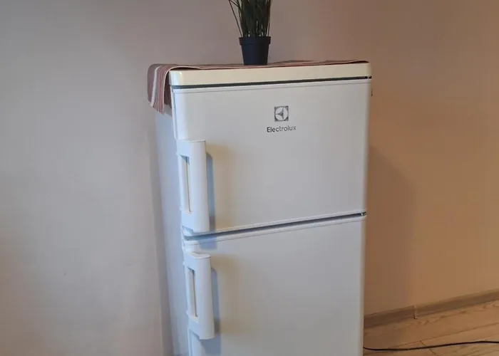 Apartman Rinktines *