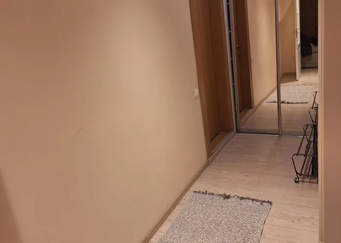 Rinktines Lejlighed Vilnius